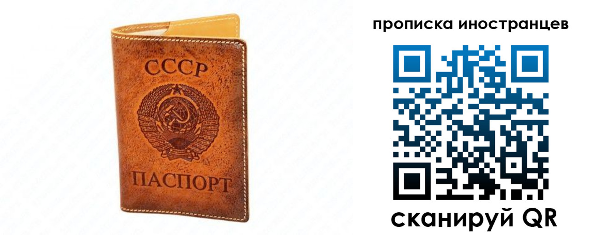 прописка для школы в Ясном